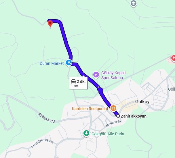 GÖLKÖY FINDIK BAHÇESİ 445 M2